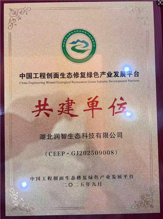 QQ_1759198342818.png